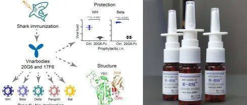 什么玉最有靈性養人？揭秘五大靈玉的護身之道，揭秘五大靈玉，哪種玉最有靈性養人？護身功效全解析 什么玉最有靈性養人？揭秘五大靈玉的護身之道，揭秘五大靈玉，哪種玉最有靈性養人？護身功效全解析 龍魚百科 第1張