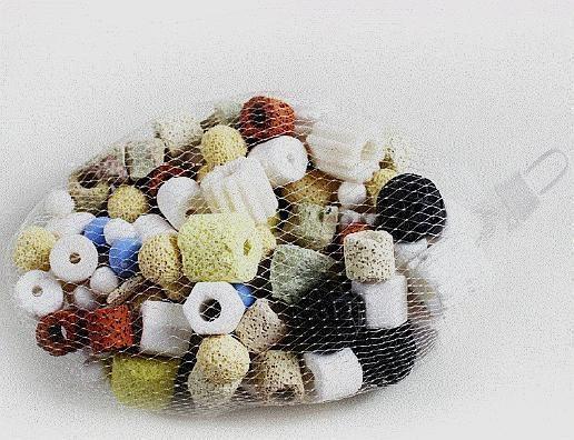 雷龍魚吃不吃小魚苗(雷龍魚苗不吃食)