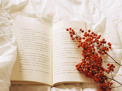 寧波觀賞魚水族館地址電話多少 寧波觀賞魚水族館地址電話多少號碼