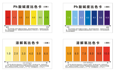 什么叫穿堂煞？戶型圖解析與化解方法，穿堂煞詳解，戶型圖解析與科學化解方法