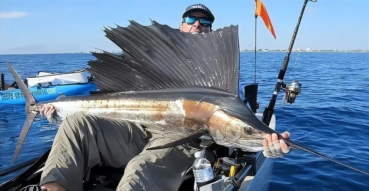 尖嘴的海魚(yú)【尖嘴海魚(yú)的生態(tài)特點(diǎn)】