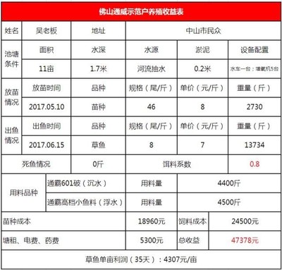 山水與曼龍，差距究竟有多大？山水與曼龍，深度對比解析兩者差異