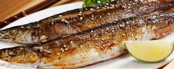 魟魚胃口不好怎么辦：養[需手動填充]魚胃口不好怎么辦