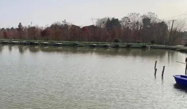 杭州市江干區(qū)金吉水族器材商行 （杭州吉印水族）