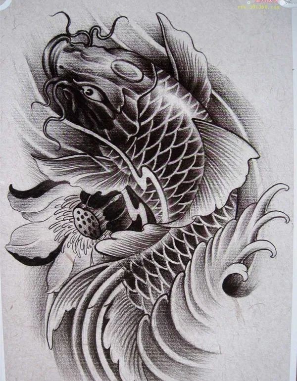 鯉魚紋一般人壓不住嗎，《鯉魚紋一般人壓不住嗎》