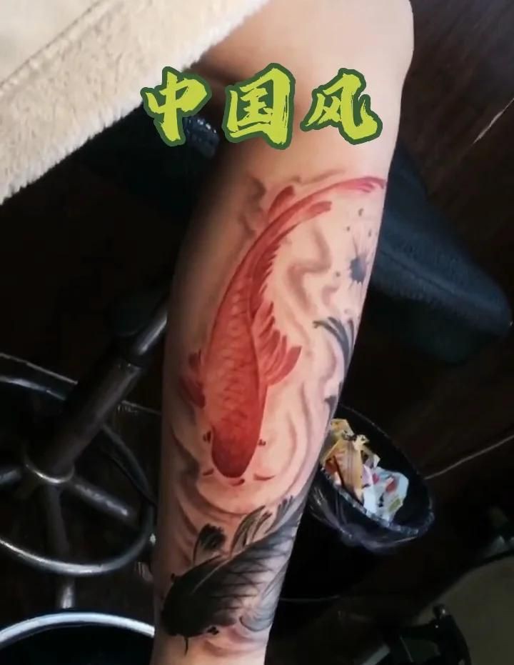 鯉魚紋一般人壓不住嗎，《鯉魚紋一般人壓不住嗎》