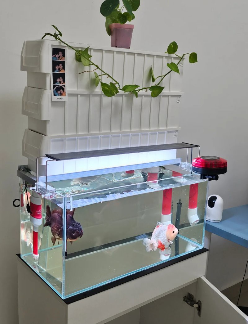 二手魚缸出售批發市場，二手魚缸市場的盈利秘密