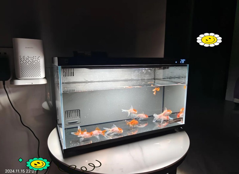 二手魚缸出售批發市場，二手魚缸市場的盈利秘密