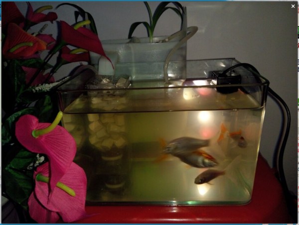 創寧加熱棒哪個型號最好用的（創寧加熱棒哪個型號最好用的呢）