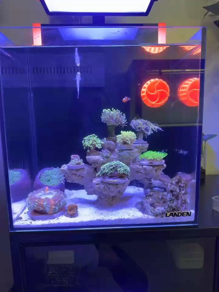 增加新賽道 增加新賽道 龍魚論壇