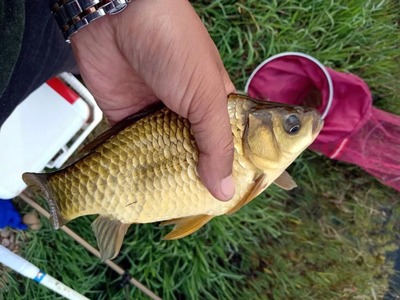 承德二手魚缸轉讓信息最新消息（承德58同城二手物品轉讓）