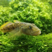 濟南魚缸店，濟南魚缸專營店鋪推薦