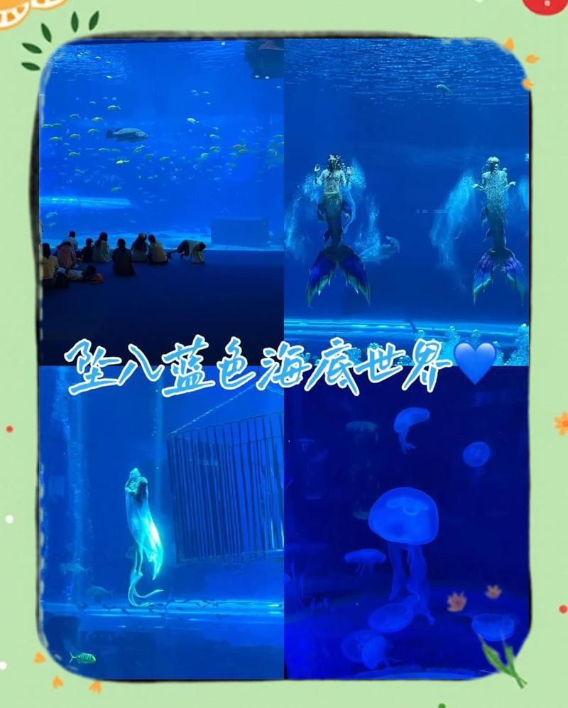海口水族館，探秘海口水族館 海口水族館，探秘海口水族館 全國水族館企業名錄 第1張