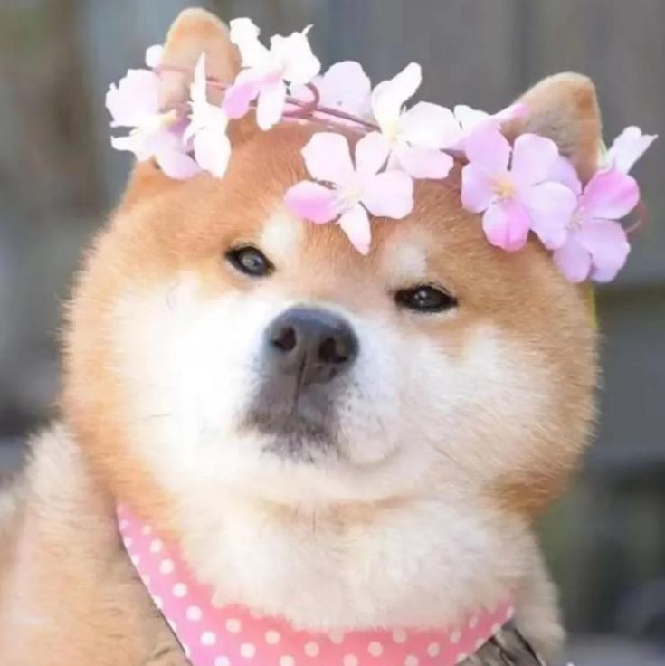 珠海魚缸店，珠海擁有多家特色魚缸店為市民提供豐富的水族產品與服務