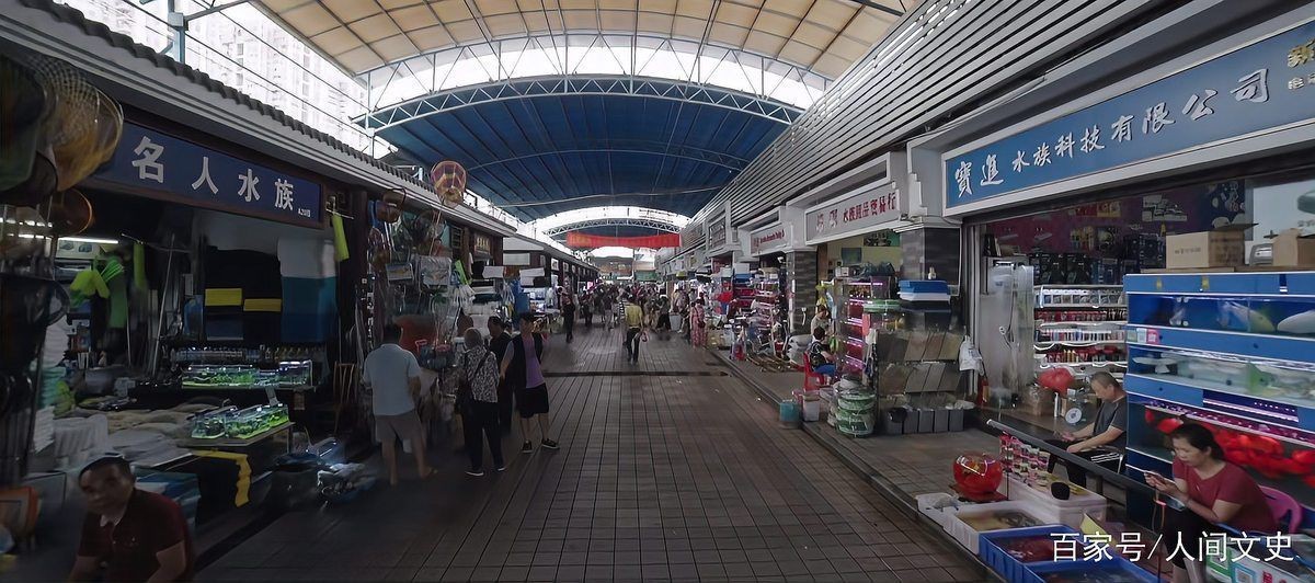 白山水族批發市場，白山水族批發市場發展趨勢