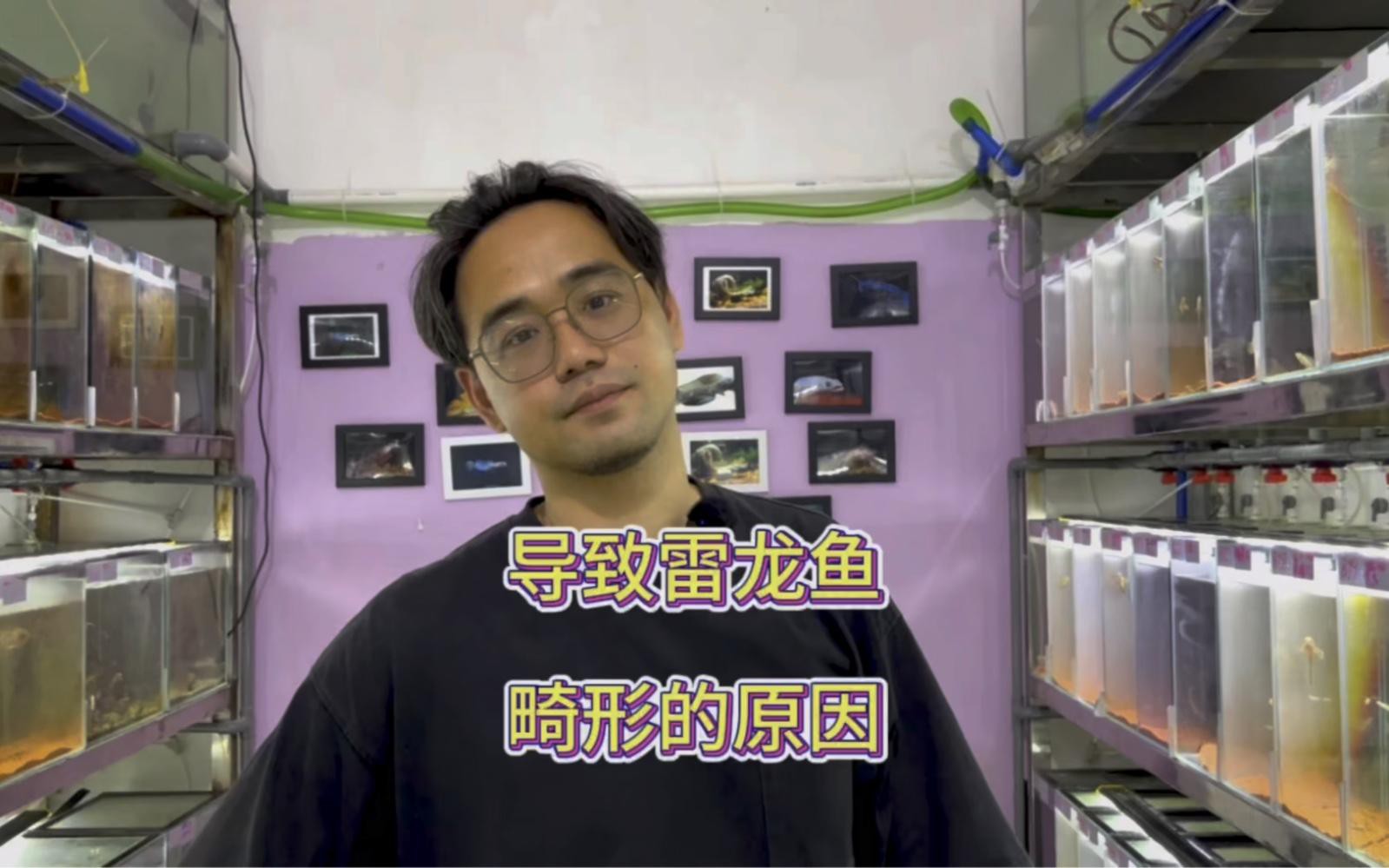 哪些因素會導(dǎo)致龍魚體型畸形？，導(dǎo)致龍魚體型畸形的因素