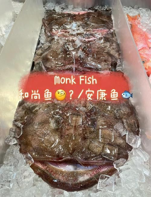 和尚魚最簡單三個圖片,關于和尚魚的介紹 全國水族館企業名錄 第14張 和尚魚最簡單三個圖片,關于和尚魚的介紹 和尚魚最簡單三個圖片,關于和尚魚的介紹 全國水族館企業名錄 第14張
