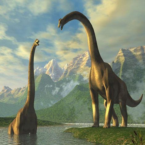 恐龍萬(wàn)龍簡(jiǎn)介，「科普」腕龍的奇妙世界