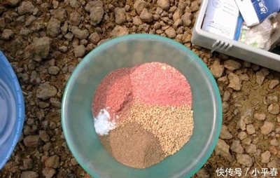 龍魚酥十大功效，營養與健康的完美結合，龍魚酥十大功效，營養與健康的黃金組合，龍魚酥十大功效，營養與健康的黃金組合