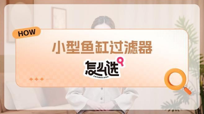 如何選擇魚缸過濾器，如何挑選合適的魚缸過濾器 如何選擇魚缸過濾器，如何挑選合適的魚缸過濾器 龍魚百科 第1張
