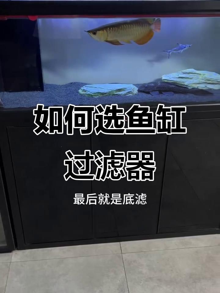 如何選擇魚缸過濾器，如何挑選合適的魚缸過濾器 如何選擇魚缸過濾器，如何挑選合適的魚缸過濾器 龍魚百科 第5張