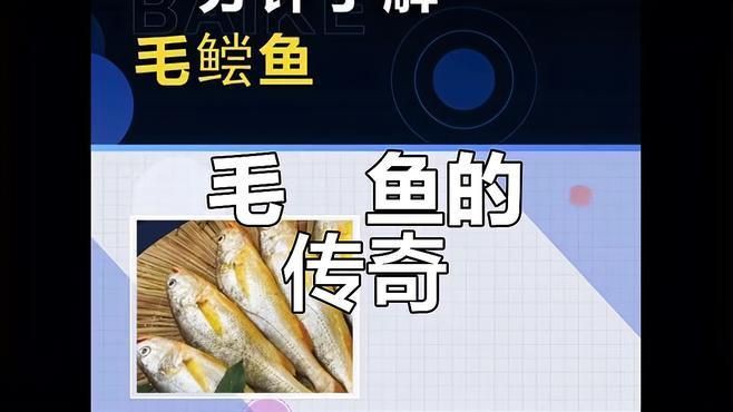 毛鲿魚，動物界脊索動物界脊索動物門毛鲿魚的隱身術