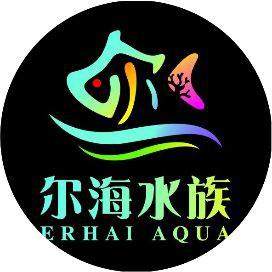 皇家火箭魚圖片，“皇家火箭魚”并非真正意義上的魚類新物種黃火箭魚