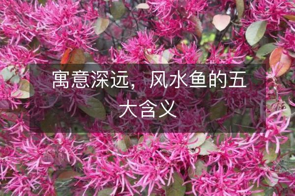 老魚匠水泵為什么調節不了水了呢怎么辦(老魚匠水泵是哪里代工的)
