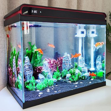 安國水族店，安國水族店有哪些特色產品