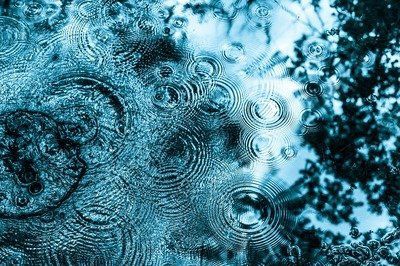 高清紅龍魚壁紙設置方法，《高清紅龍魚壁紙設置方法》