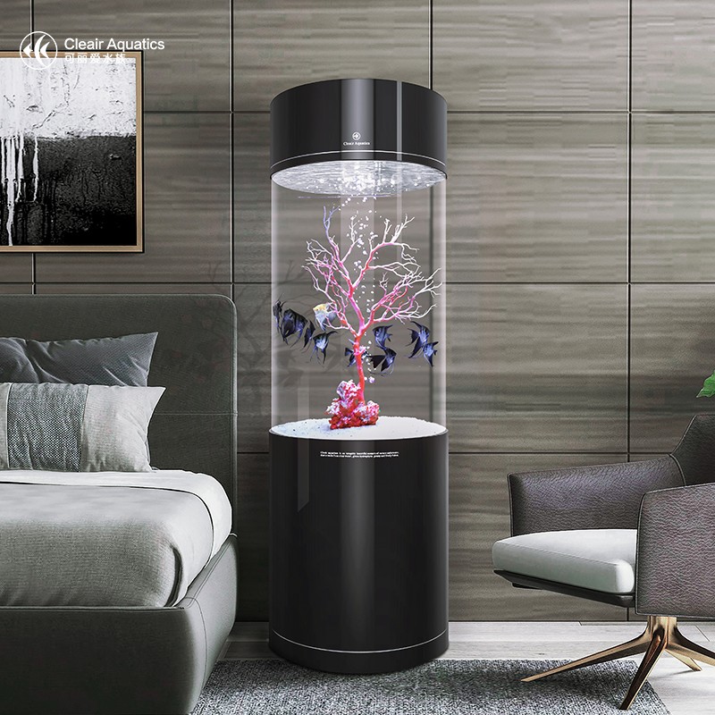 大的觀賞魚是什么魚（大的觀賞魚是什么魚圖片）