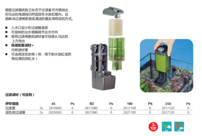 銀龍魚(yú)的品種和價(jià)格圖(銀龍魚(yú)價(jià)值多少錢(qián))