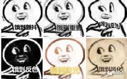 賓陽龍魚店，南寧賓陽龍魚店哪家口碑最好