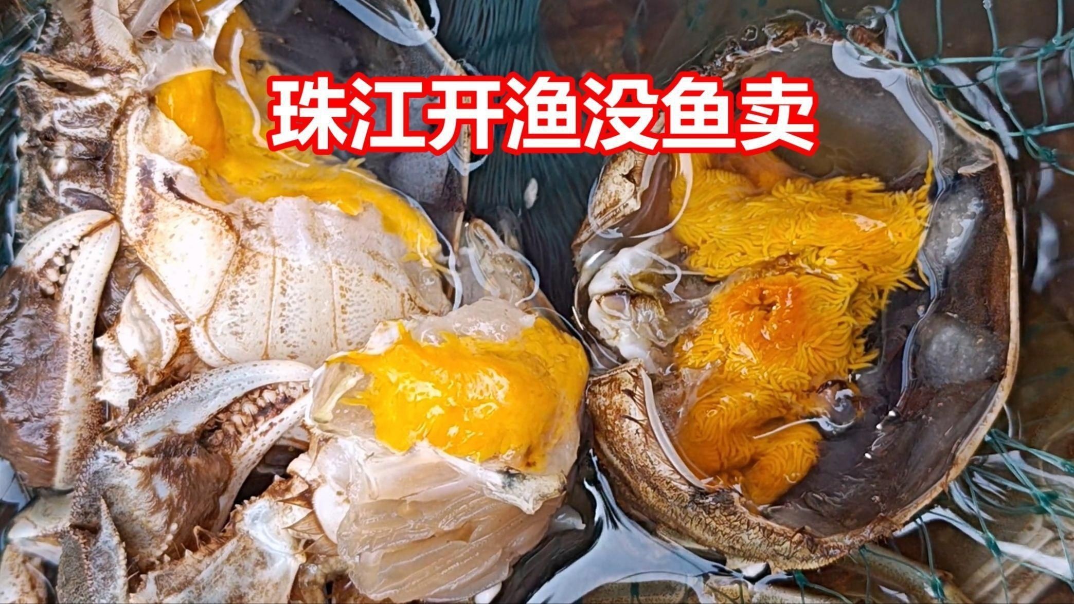 廣東常見魚有哪些【廣東河道釣起三條怪魚像草魚又像鯉魚魚頭卻紅似胭脂】