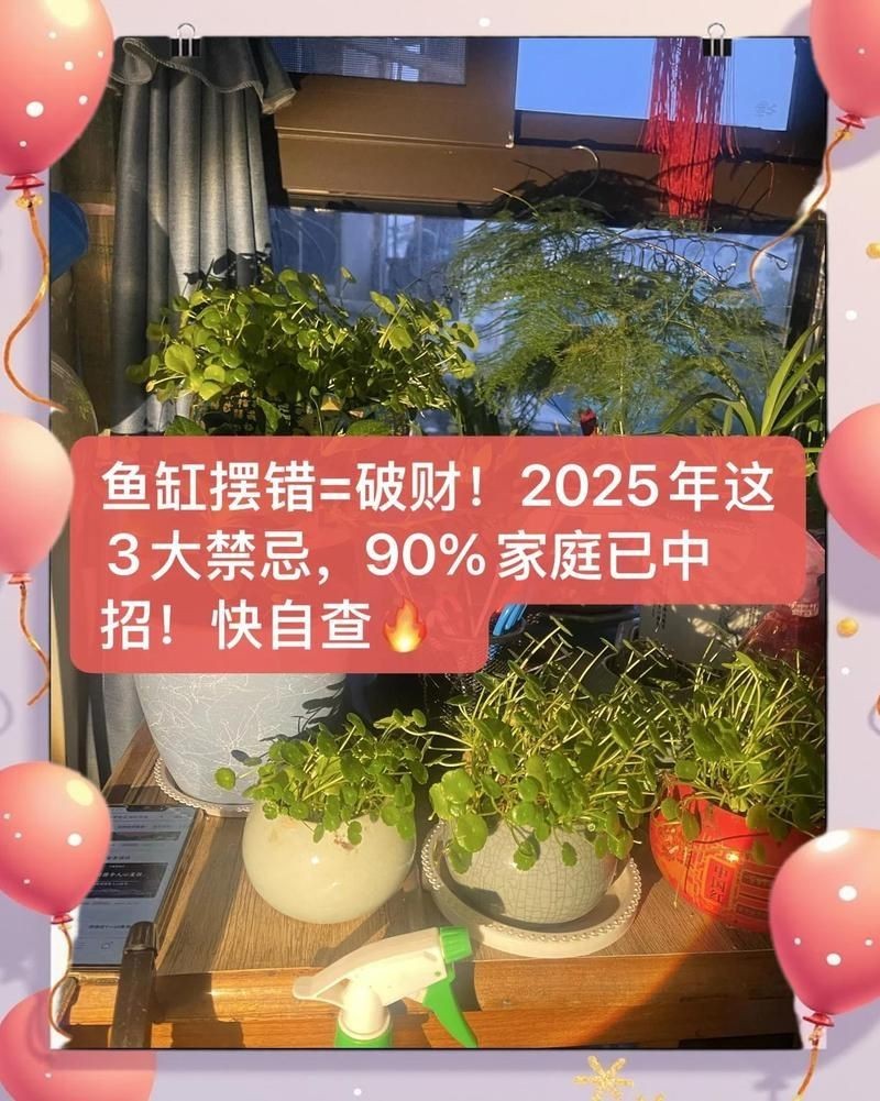 龍魚缸最忌三個地方