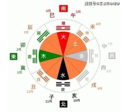紅龍魚最好喂什么魚食：紅龍魚怎么喂養？