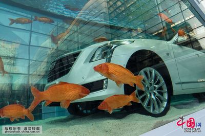 5mm玻璃承受多深的魚缸：5mm厚的玻璃在制作魚缸時需要注意這些問題