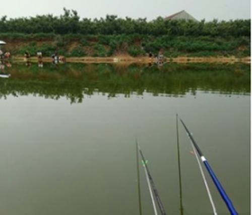 老魚匠沖浪泵每天開幾個小時(沖浪泵對魚有影響嗎)