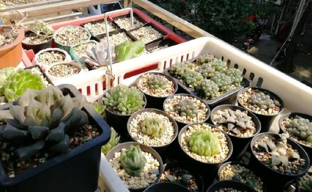 伊罕加熱棒使用方法(伊罕加熱棒使用壽命)