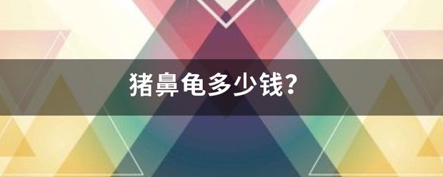 豬鼻龜苗多少錢一只：養(yǎng)殖豬鼻龜苗需要考慮哪些因素