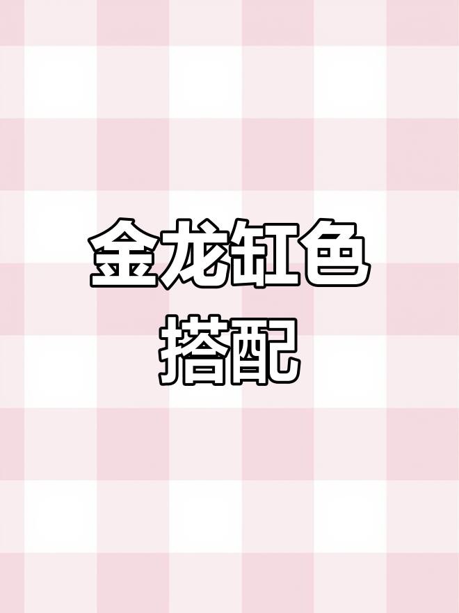 古典過背金龍成體后缸體選擇，古典過背金龍成體后的缸體選擇