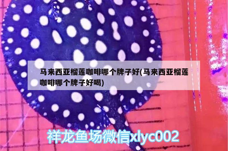 馬來西亞榴蓮咖啡哪個牌子好(馬來西亞榴蓮咖啡哪個牌子好喝)