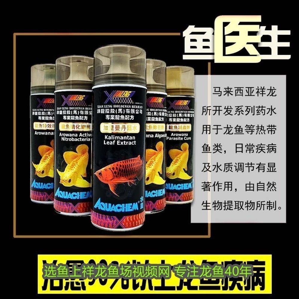 豬鼻龜最大體型圖片大全圖集(豬鼻龜最大多大)