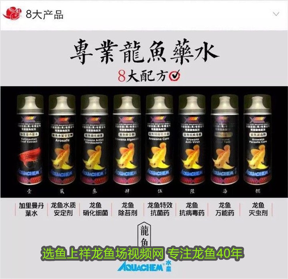 三斤重的豬鼻龜多少錢一斤啊(豬鼻龜多少錢一只?)