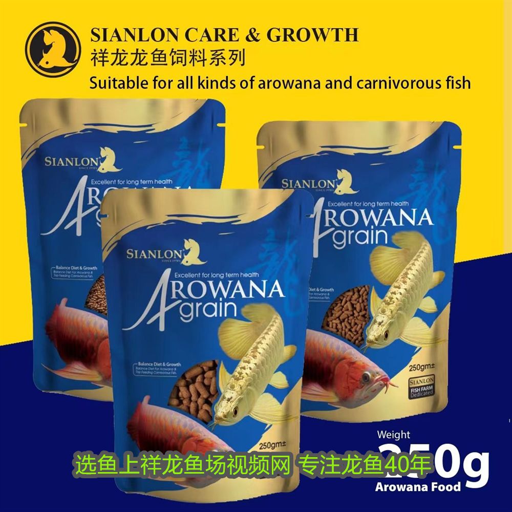 十魚圖的寓意，從傳統繪畫看中國文化的深邃象征，十魚圖，傳統繪畫中的中國文化象征與深邃寓意