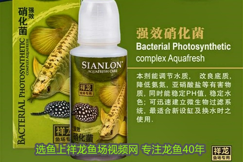 伊罕2215是什么型號（伊罕2211）