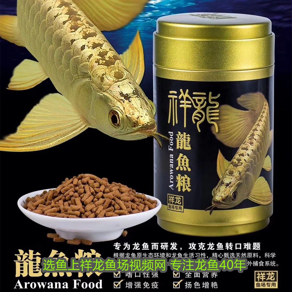 龍魚飾品最忌三個東西是什么：龍魚飾品最忌三個東西，守護祥瑞之避諱 龍魚飾品最忌三個東西是什么：龍魚飾品最忌三個東西，守護祥瑞之避諱 龍魚百科 第2張