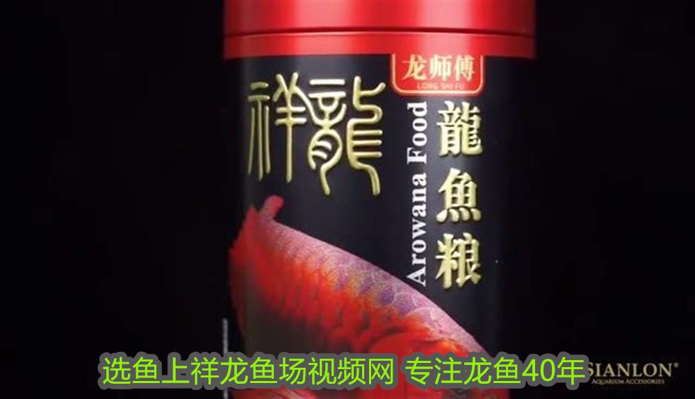 龍魚有寄生蟲怎么治療vs祥龍魚場(chǎng)：如何判斷龍魚是否感染寄生蟲