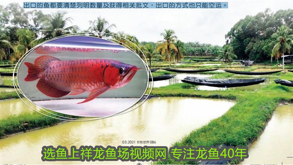 伊罕加熱棒溫度調(diào)亂了(伊罕加熱棒復(fù)位)