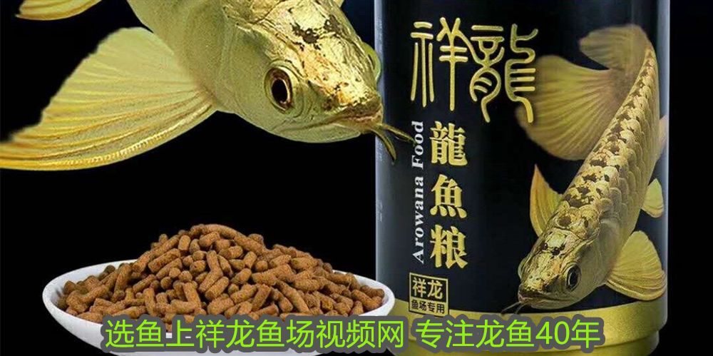 釣黑魚用什么調性的路亞竿子
